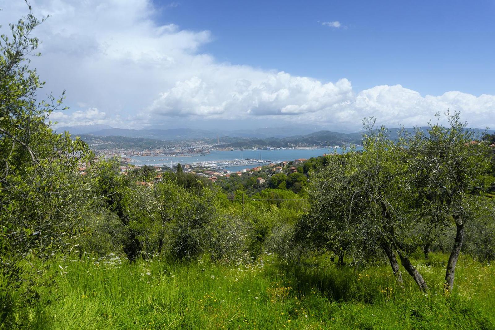 Gli Ulivi Sul Golfo E Le 5 Terre Apartment La Spezia Exterior foto