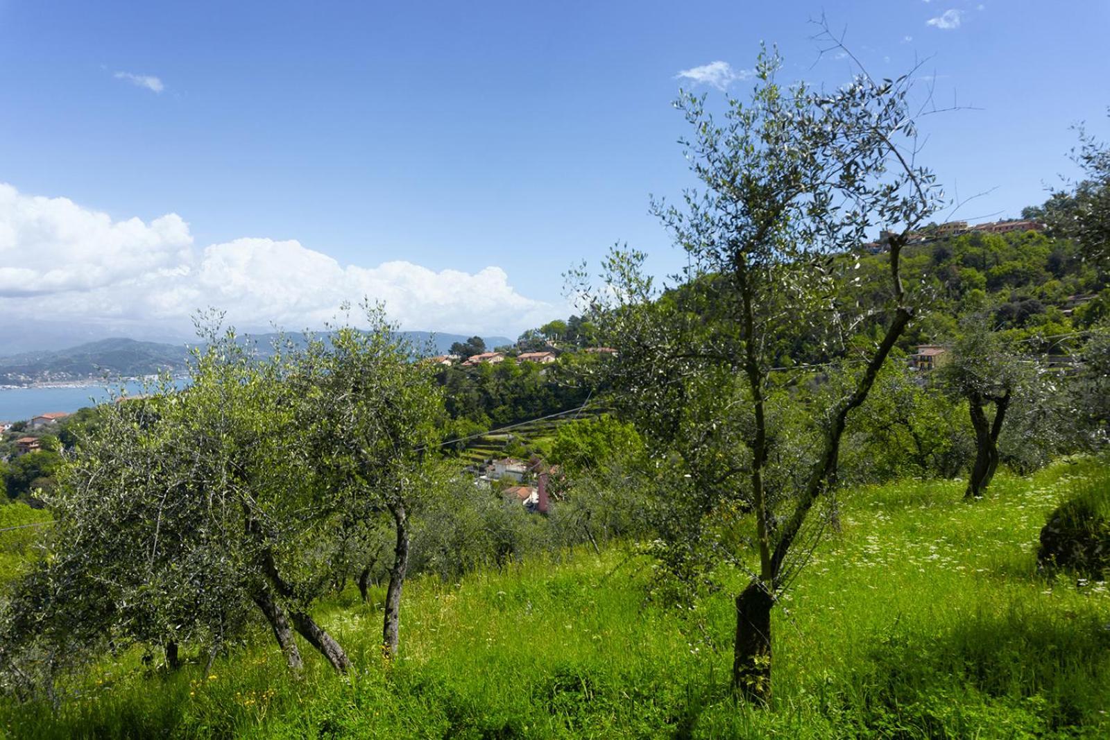 Gli Ulivi Sul Golfo E Le 5 Terre Apartment La Spezia Exterior foto