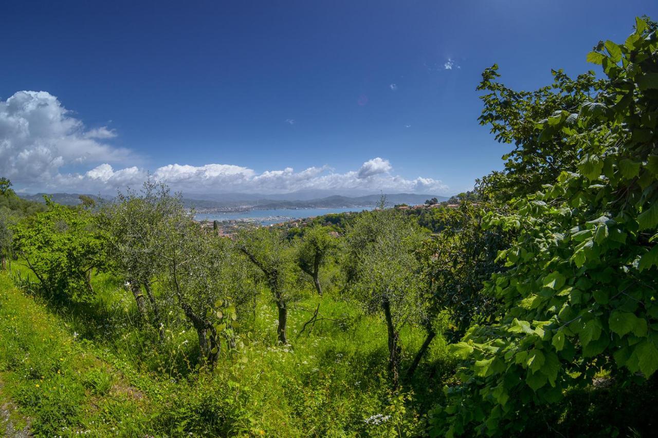Gli Ulivi Sul Golfo E Le 5 Terre Apartment La Spezia Exterior foto